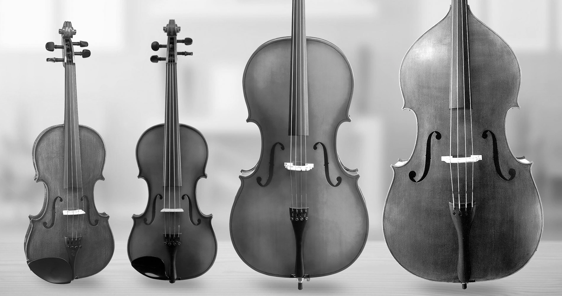 String Instruments